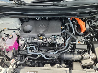 2026 Toyota Sienna Platinum 7 Passenger