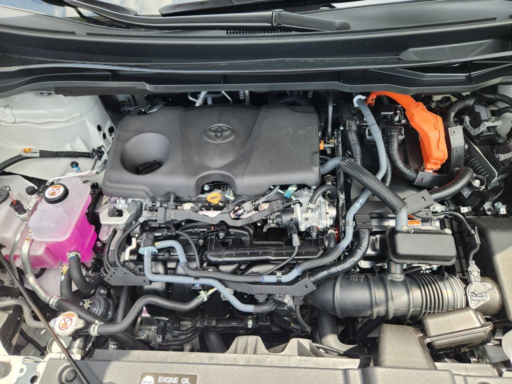 2026 Toyota Sienna Platinum 7 Passenger