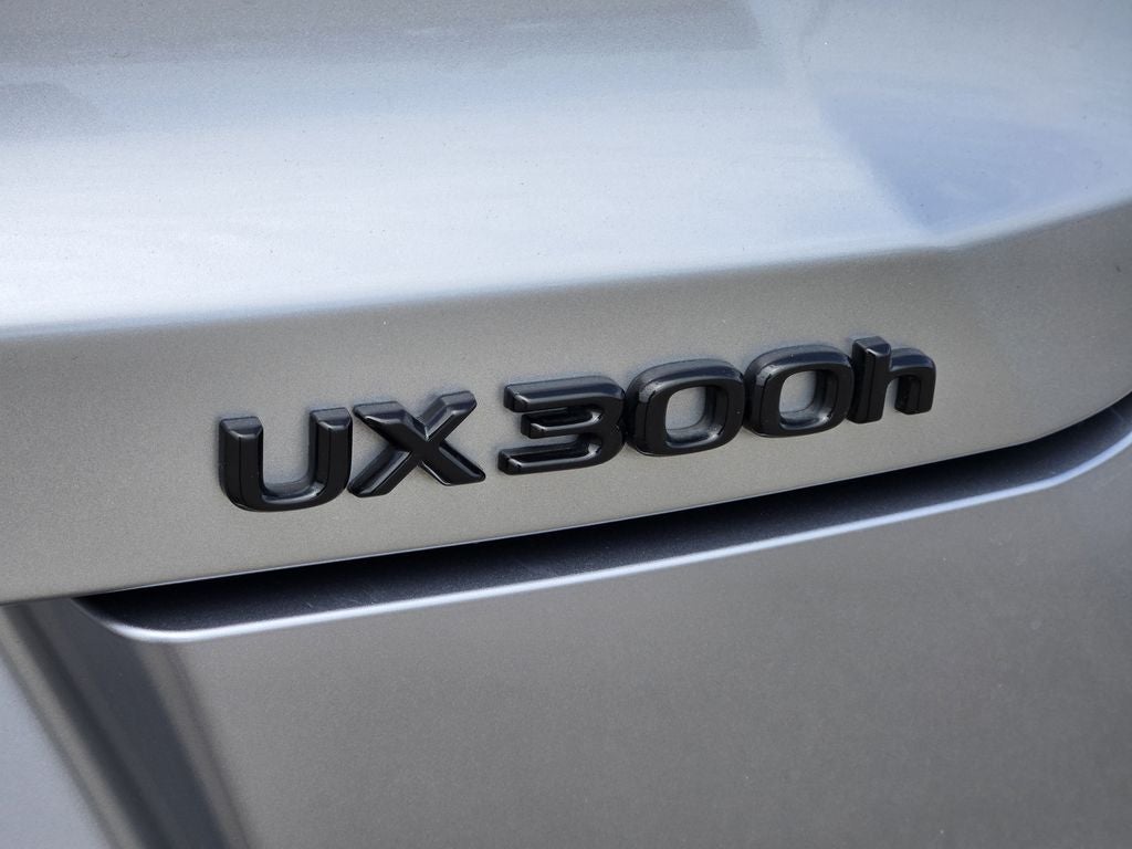2025 Lexus UX Hybrid 300h F SPORT Design
