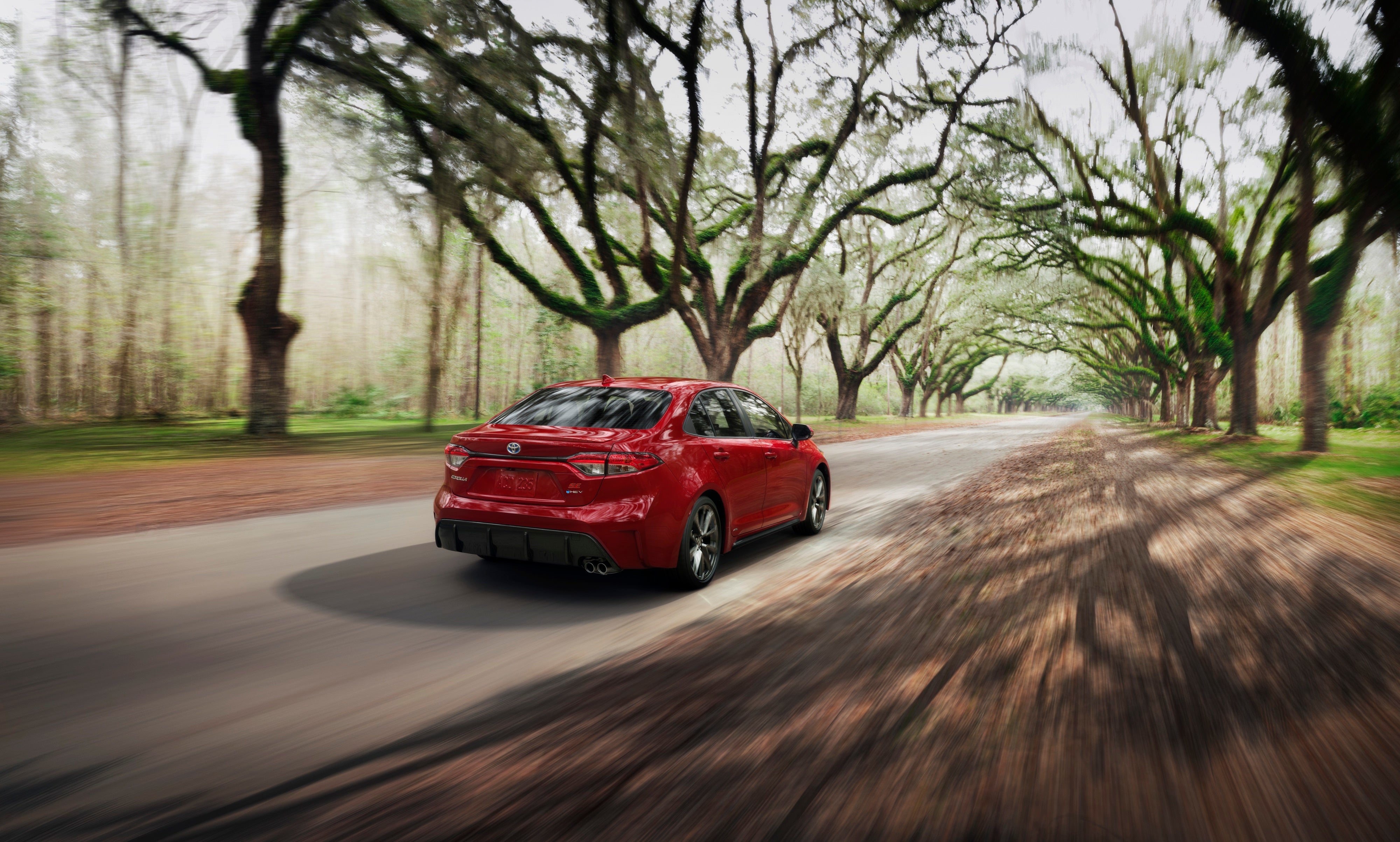 A red 2026 Toyota Corolla Hybrid racing down a forested road